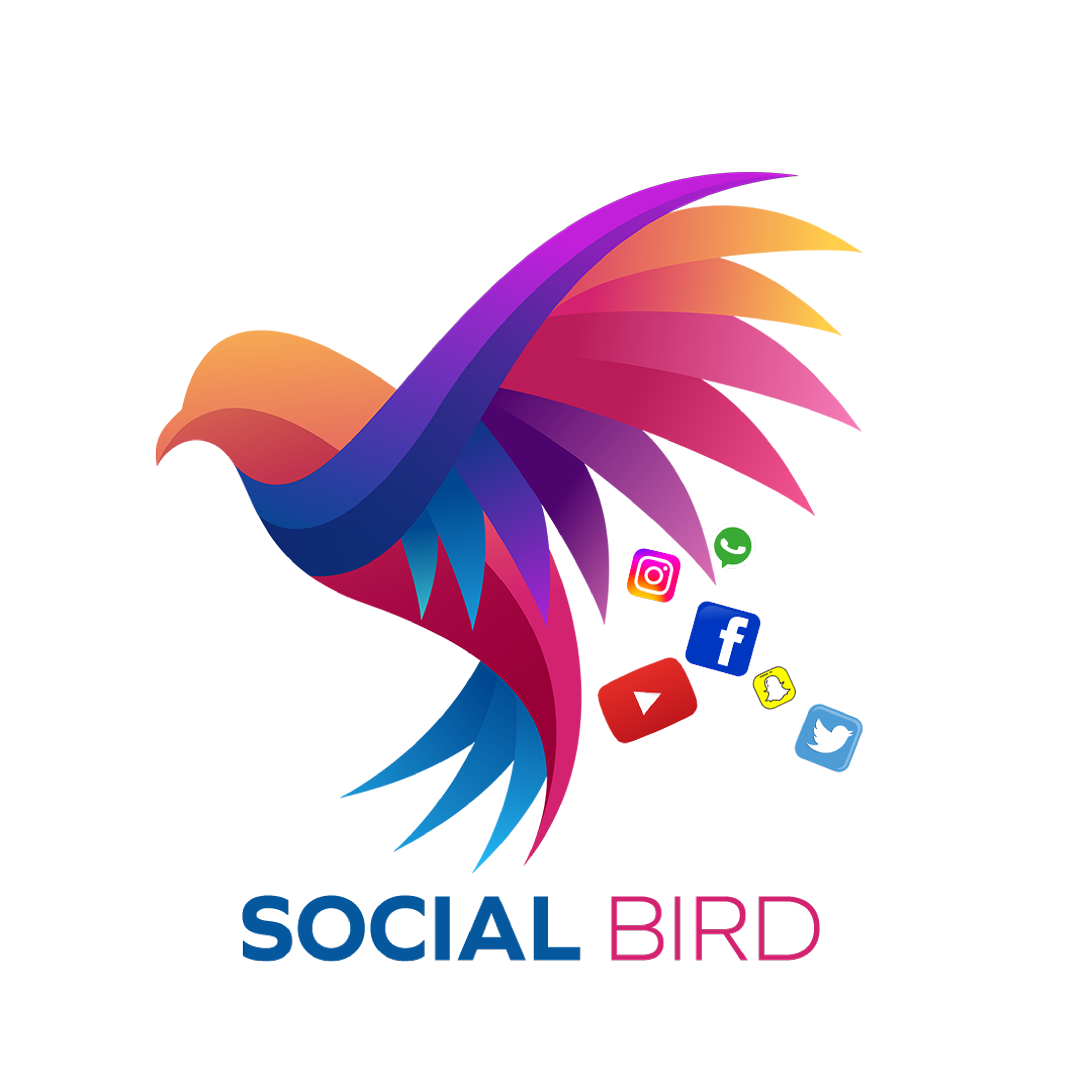 Your Company